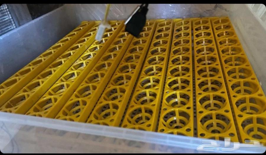 فقاسه عون شبه جديده64509110218114111