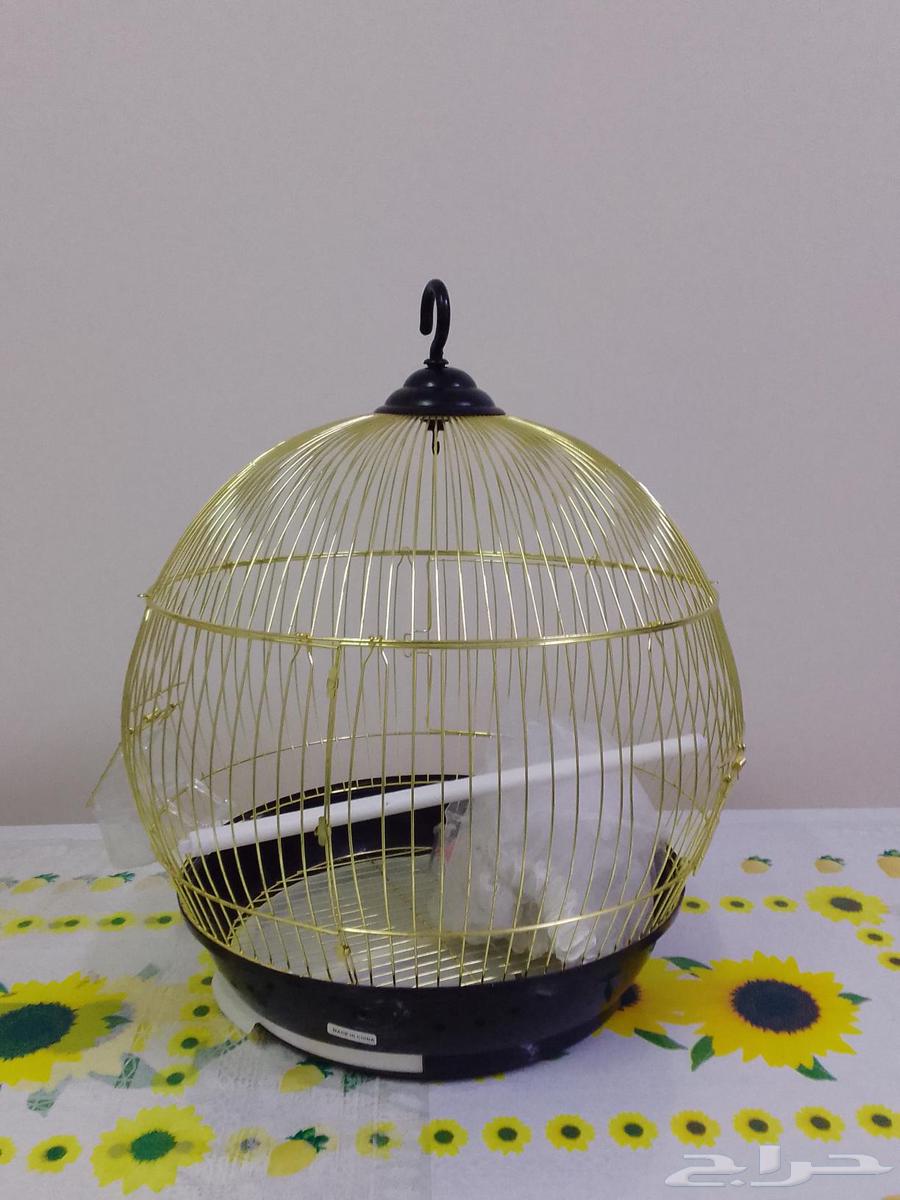 للبيع قفص عصافير64510549448451111