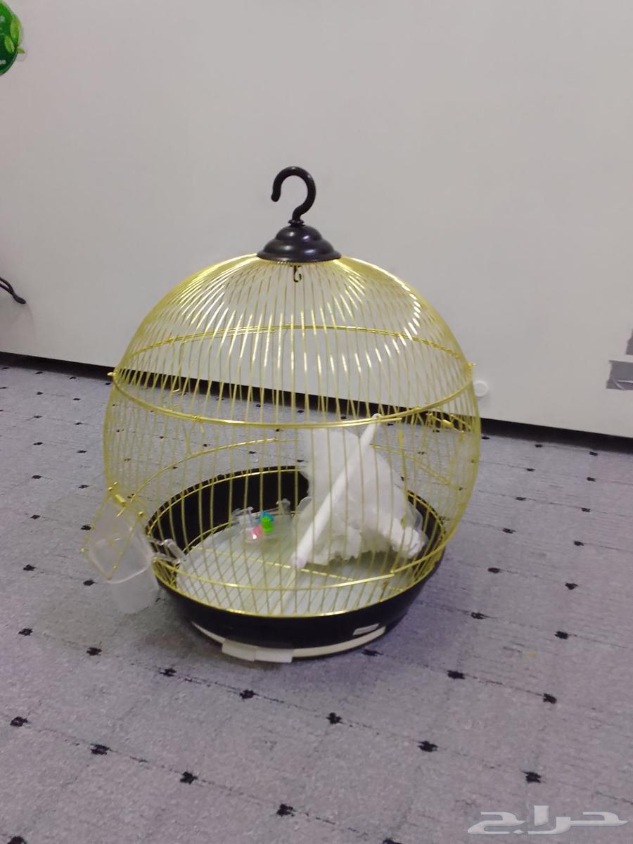للبيع قفص عصافير64510549448451110