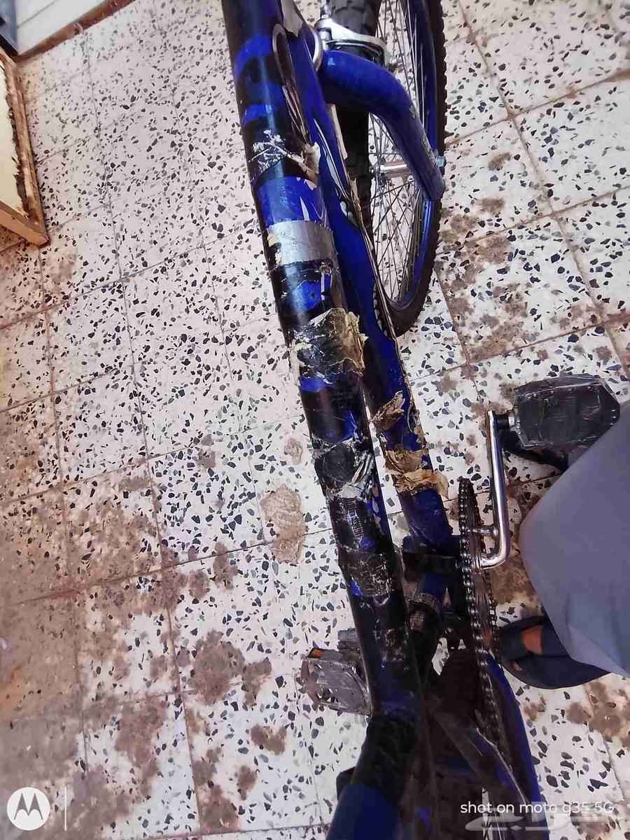 سيكل كوبرا مقاس 20 على السوم الجنزير كان مفكوك و صلحته ممتاز64506675754498114