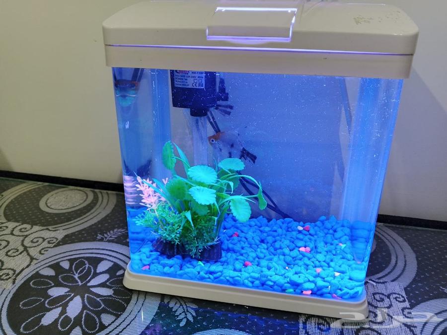 New dishwasher, never used, with warranty and used washing machine64510012803970112