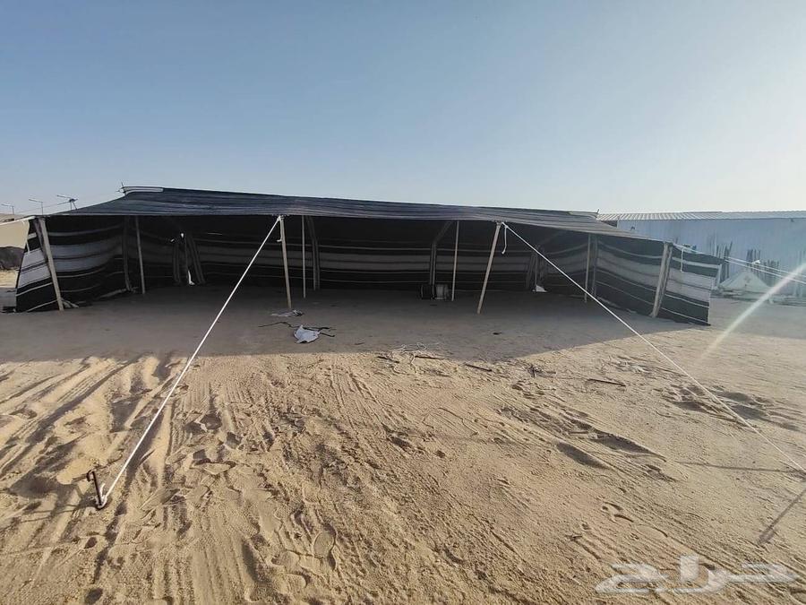 بيوت شعر وخيام64407656608258111