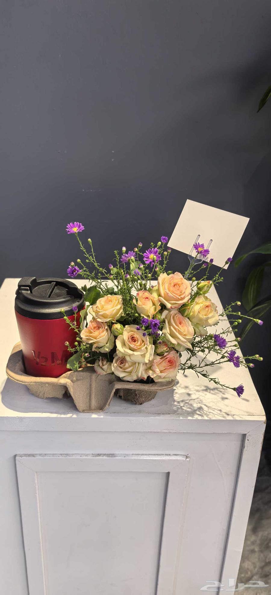 مق هاف مليون الأحمر عنابي64508999279233113