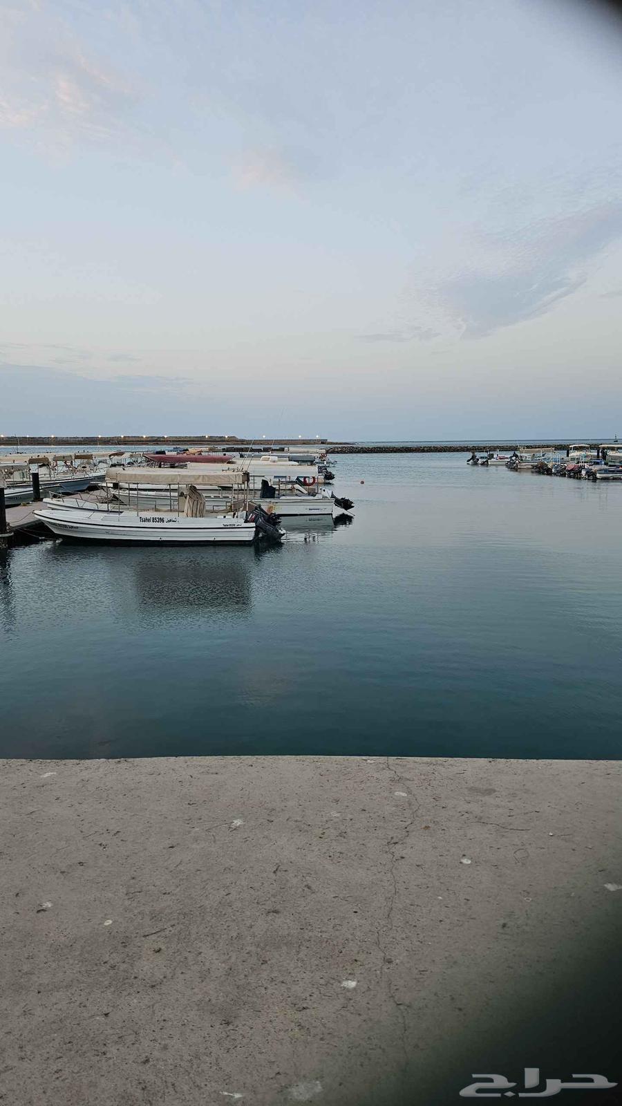 تجربة الغوص رحلات بحريه تدريب64504310417155110