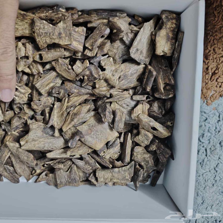 عود كينام صيني طبيعي فاخر جدا64469795246339114