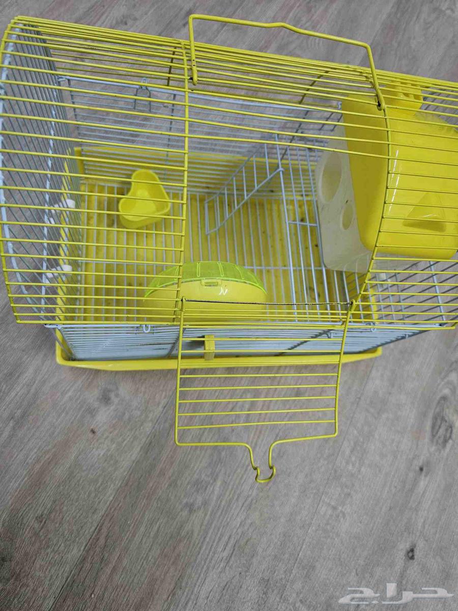 قفص همستر على السوم64506689879683110