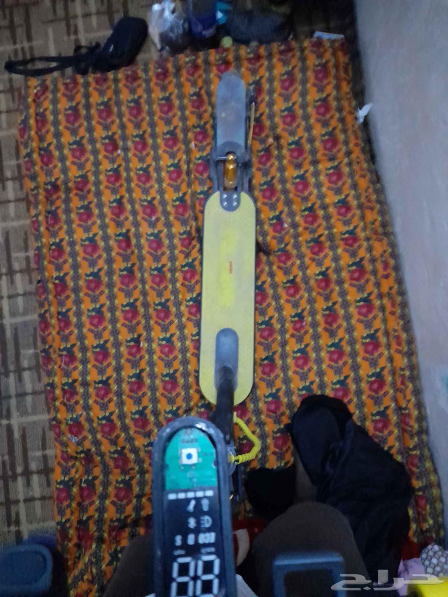 سكوتر وقوف للبيع64510549409923110