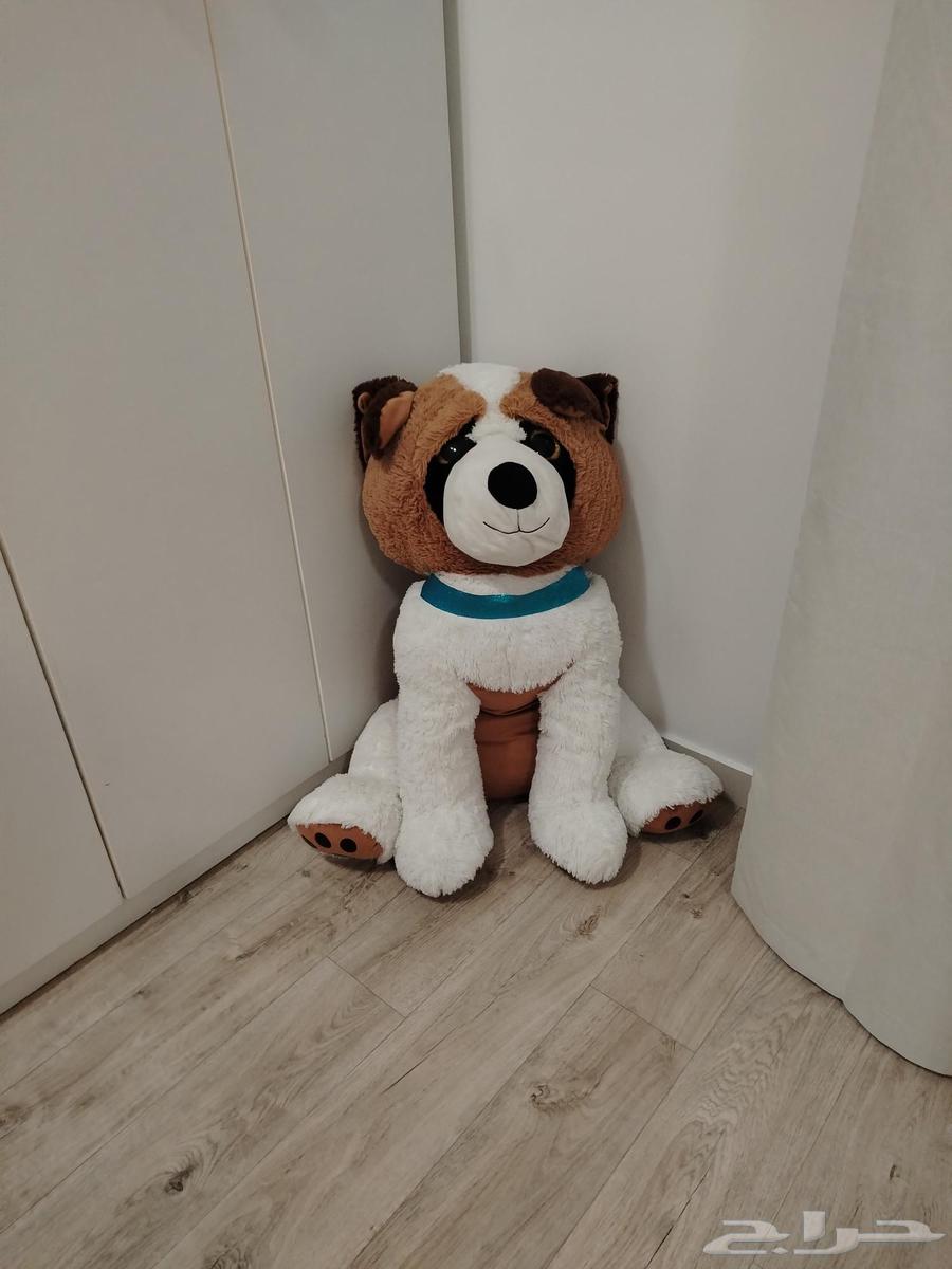 دمى بحجم كبير نظيفه للبيع ب150 ريال للتواصل واتساب فقط64503390683010110