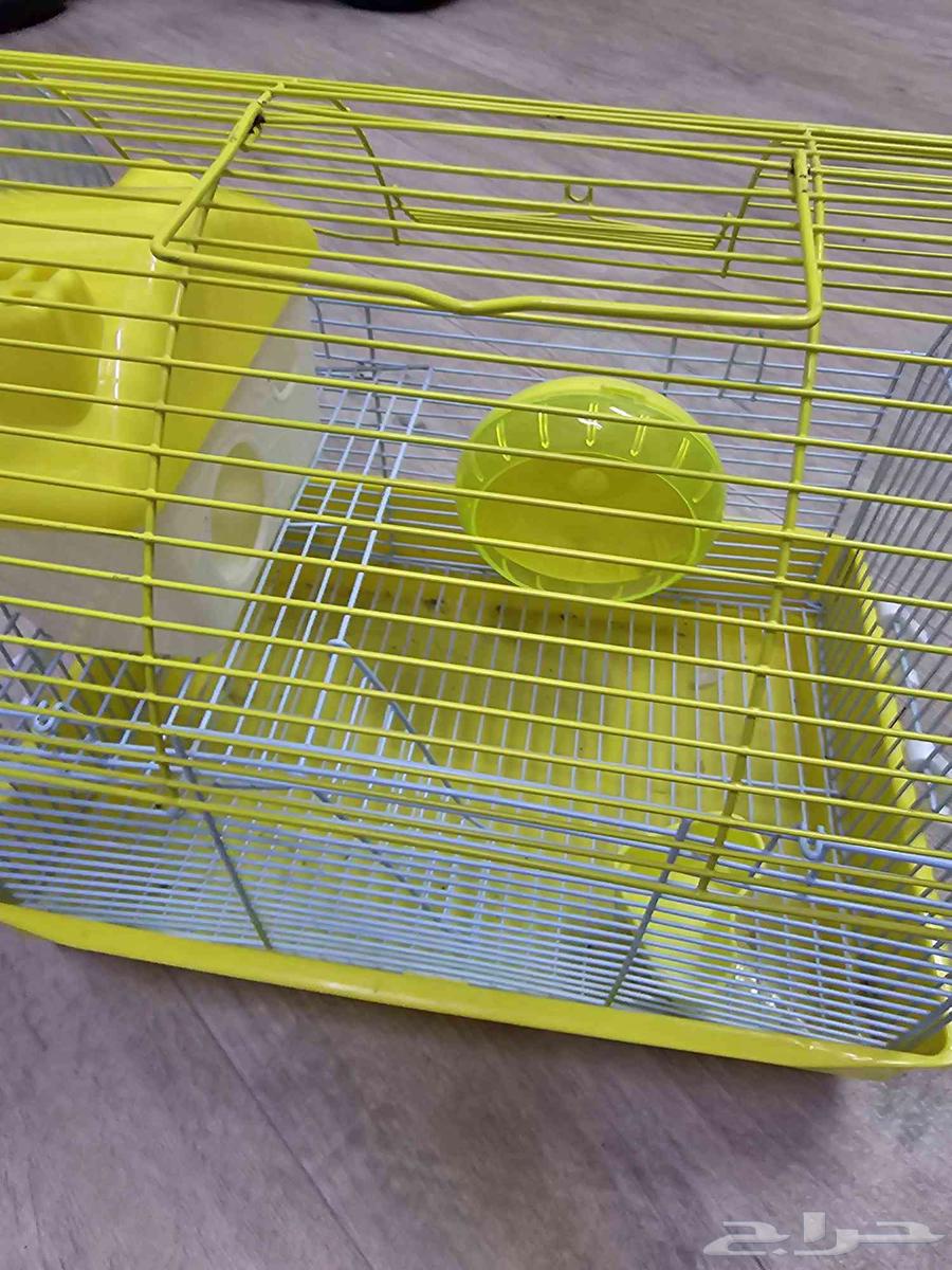 قفص همستر على السوم64506689879683111