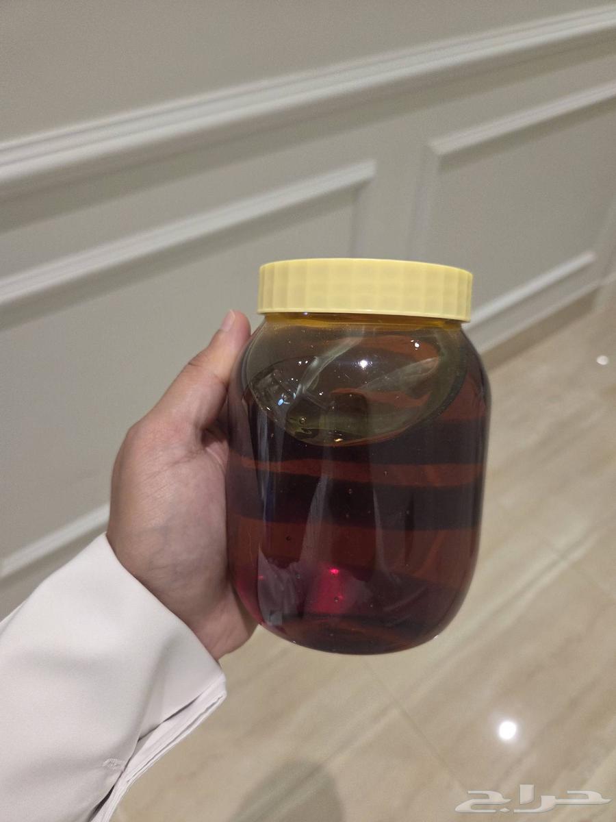 عسل سدر طبيعي للبيع64508061246721111