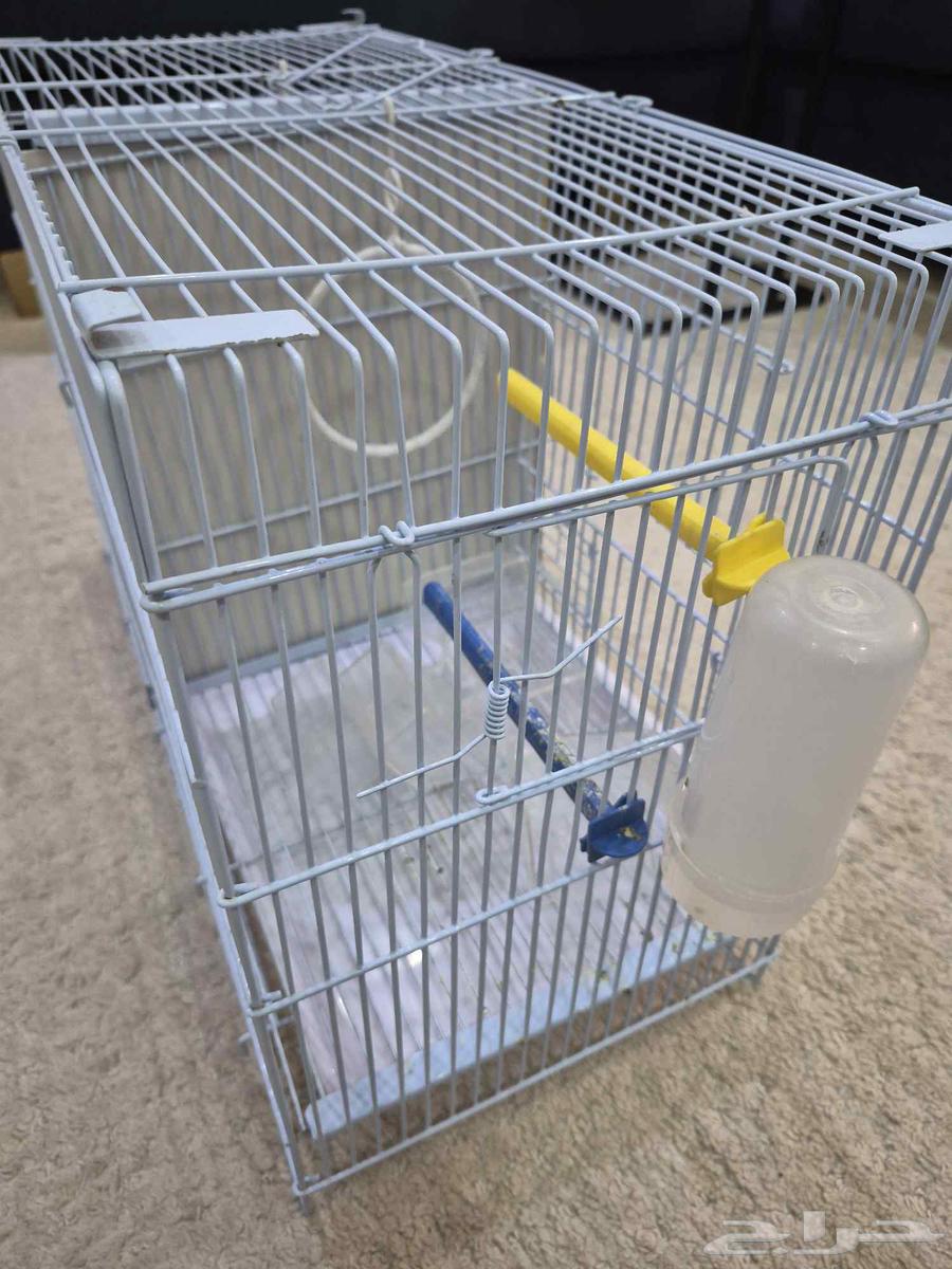 قفص طيور مميز64506188883201112