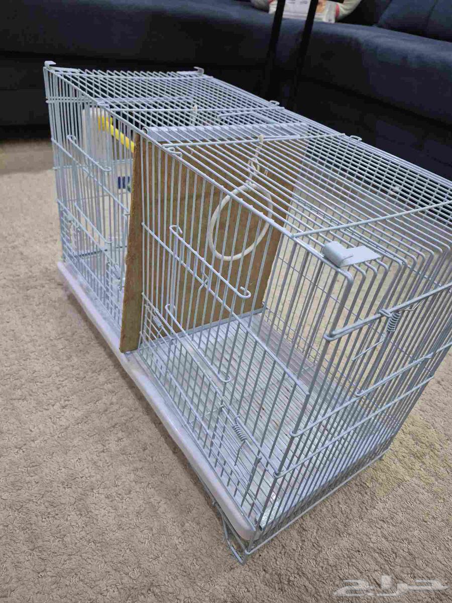 قفص طيور مميز64506188883201113