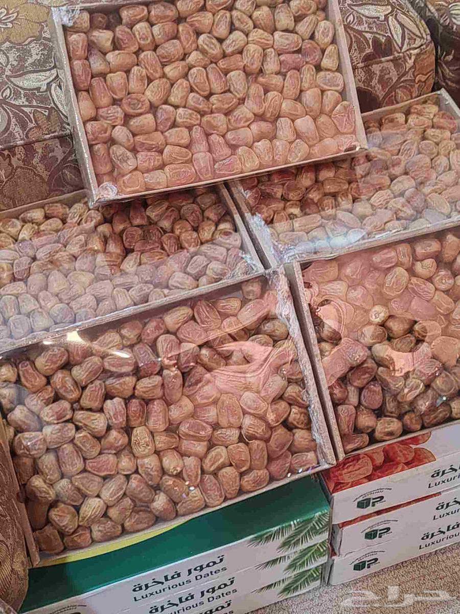 Soft Sukkari Dates64508061228033111
