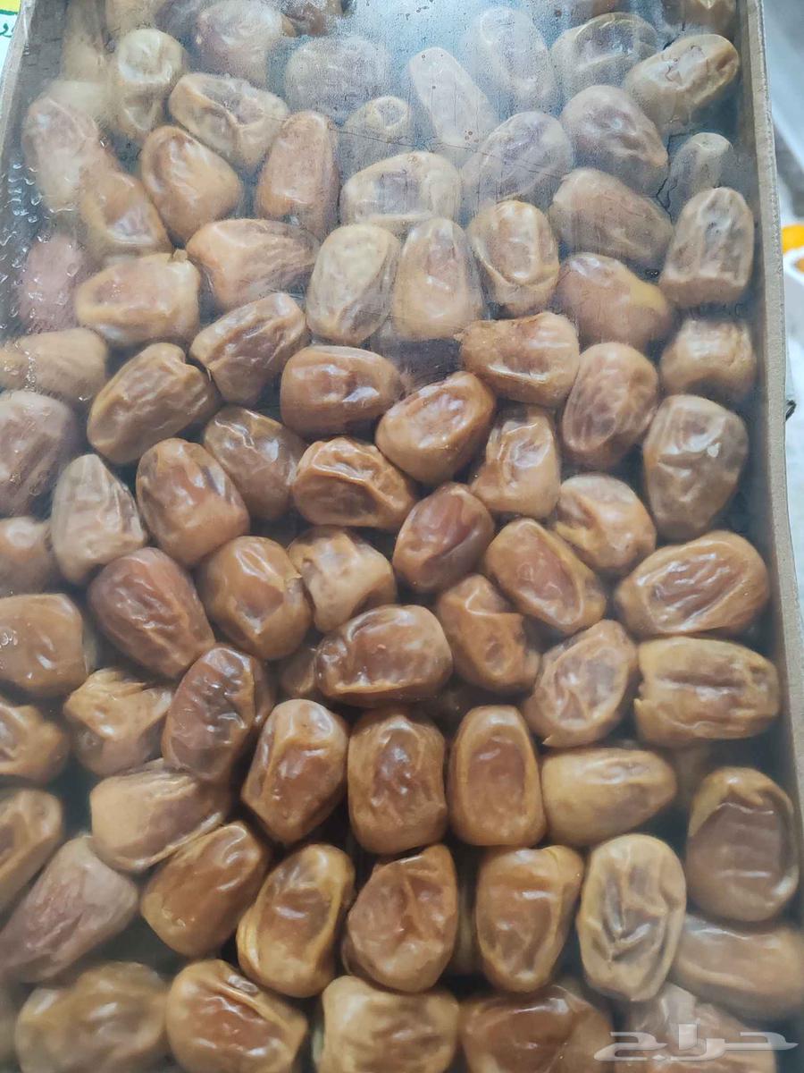 Soft Sukkari Dates64508061228033113