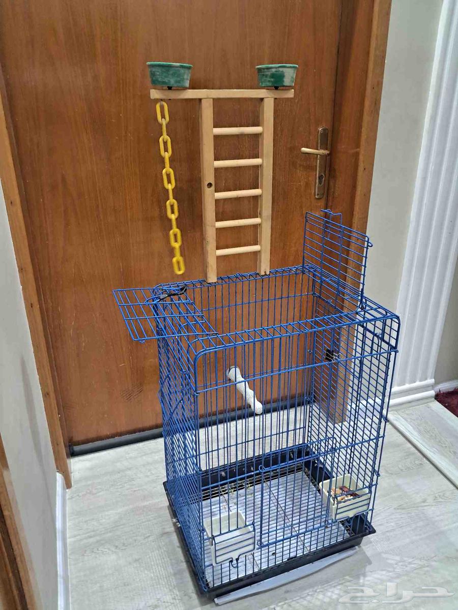 البيع لأعلى سومة. (( تم البيع. ))64503953845763110