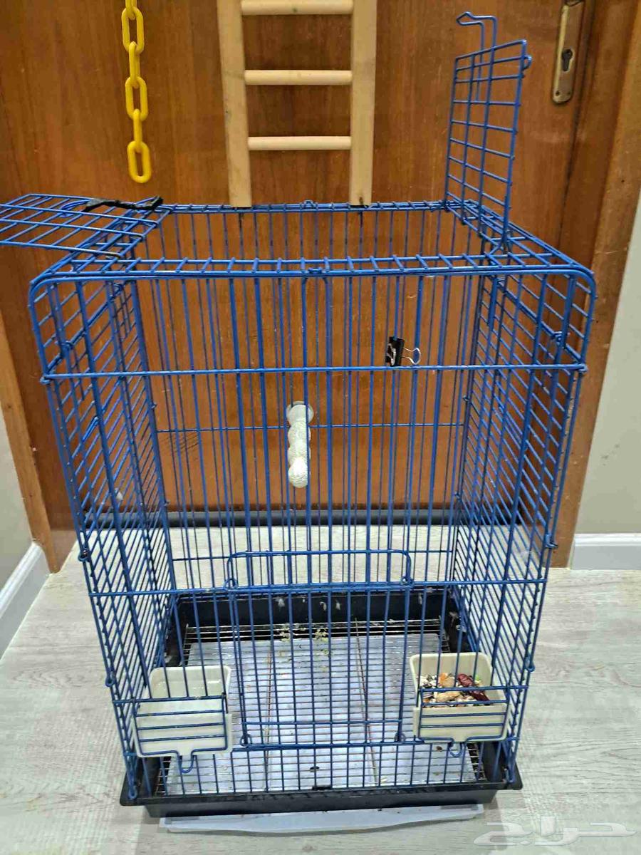 البيع لأعلى سومة. (( تم البيع. ))64503953845763112