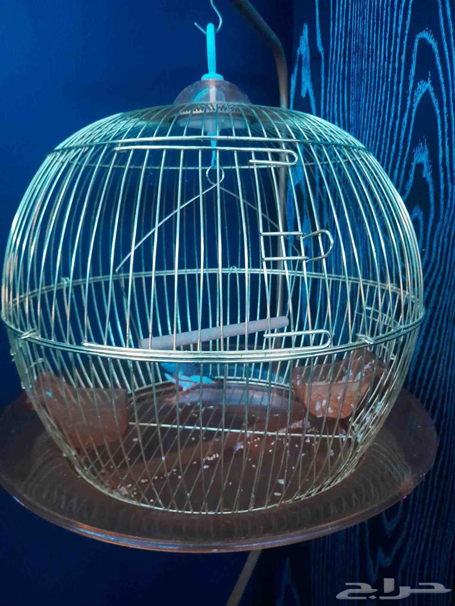 قفص عصفور بي 150 ريال64508103163650110