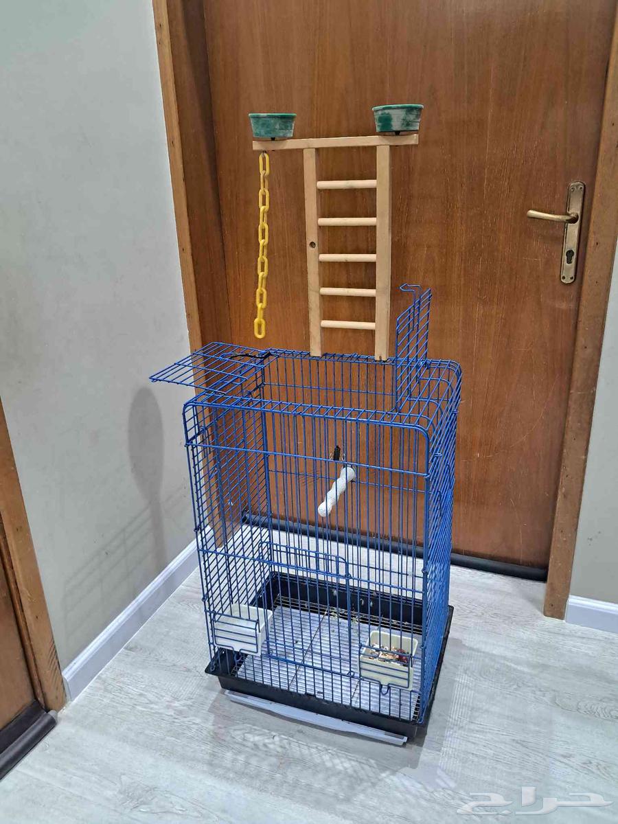 البيع لأعلى سومة. (( تم البيع. ))64503953845763111