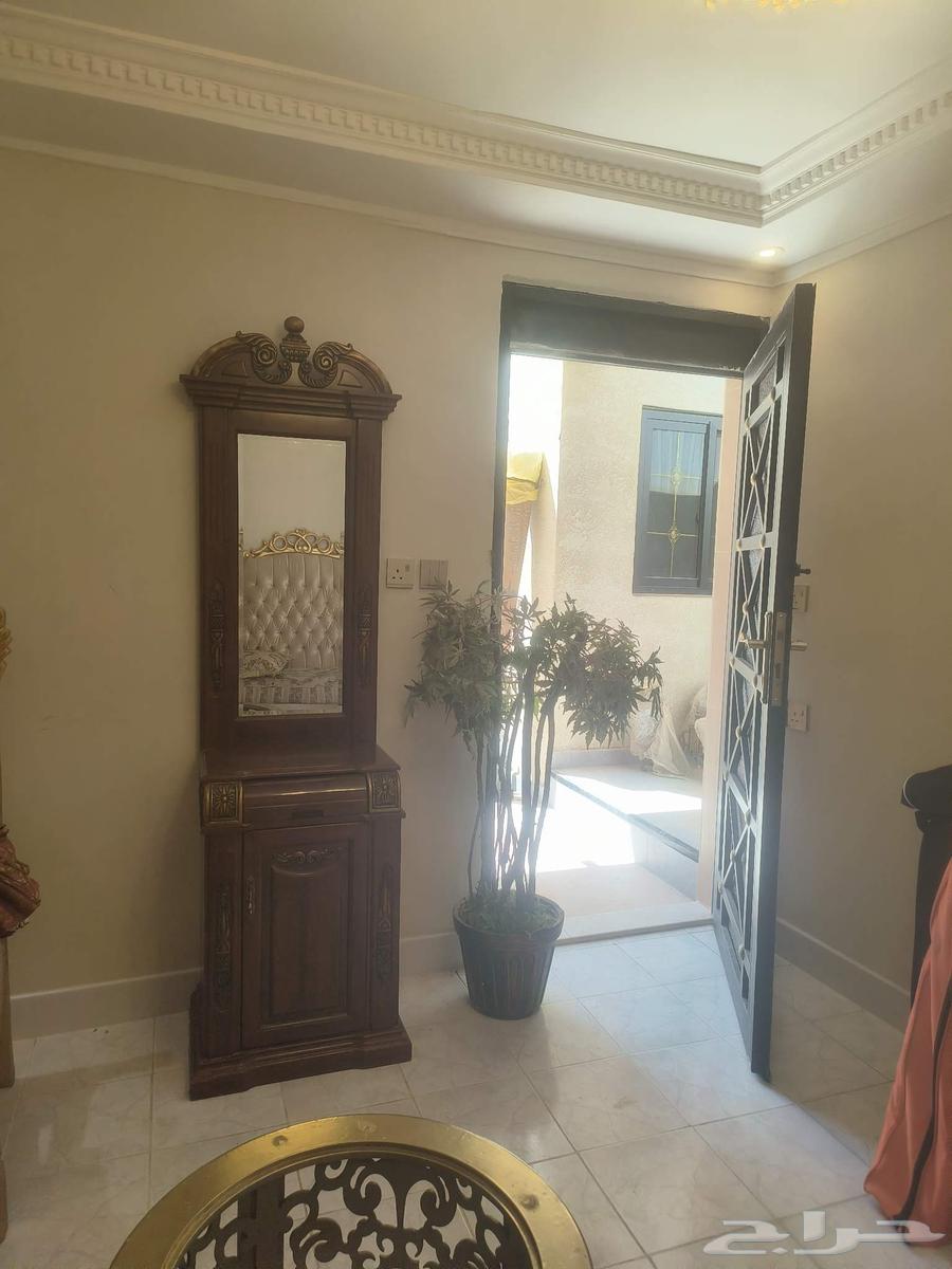 دولاب انتيك64505453868163110