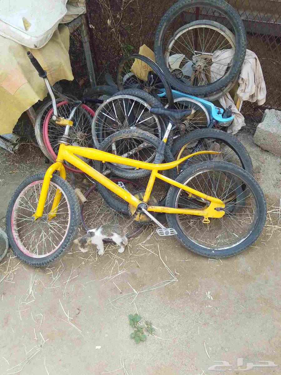دراجة هوائية Cobra مقاس 20 لون أصفر للبيع للبيع دراجة مقاس64506380329091111