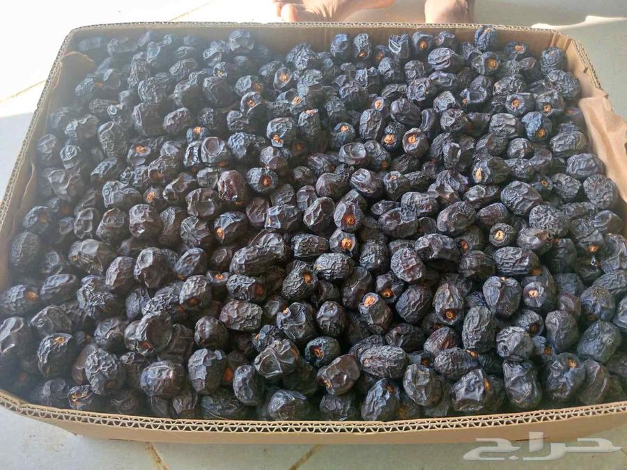 Medina Ajwa Dates64509349848579110