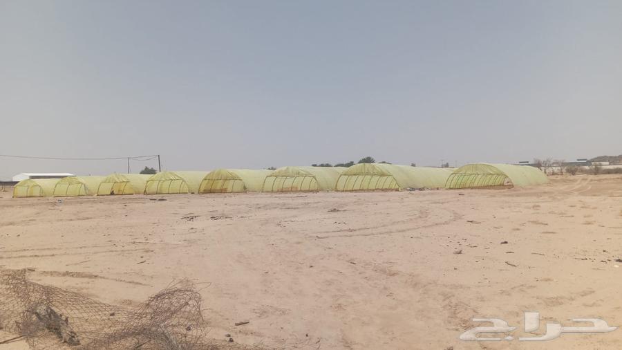 مقاولات فك وتركيب بيوت محميات64381246123265110