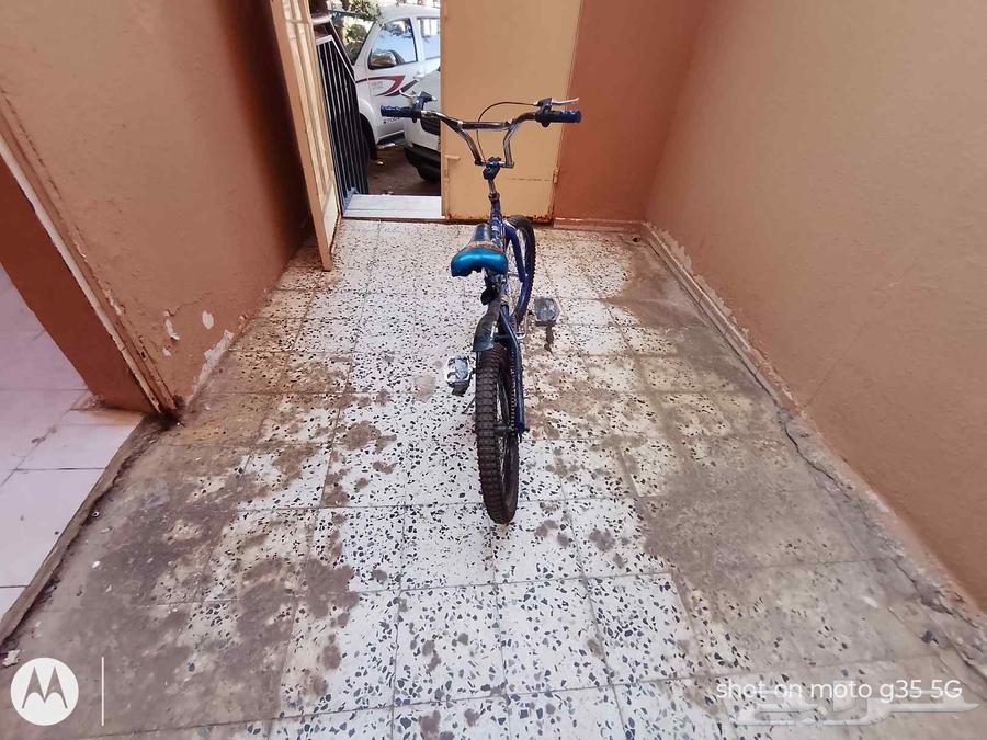 سيكل كوبرا مقاس 20 على السوم الجنزير كان مفكوك و صلحته ممتاز64506675754498111