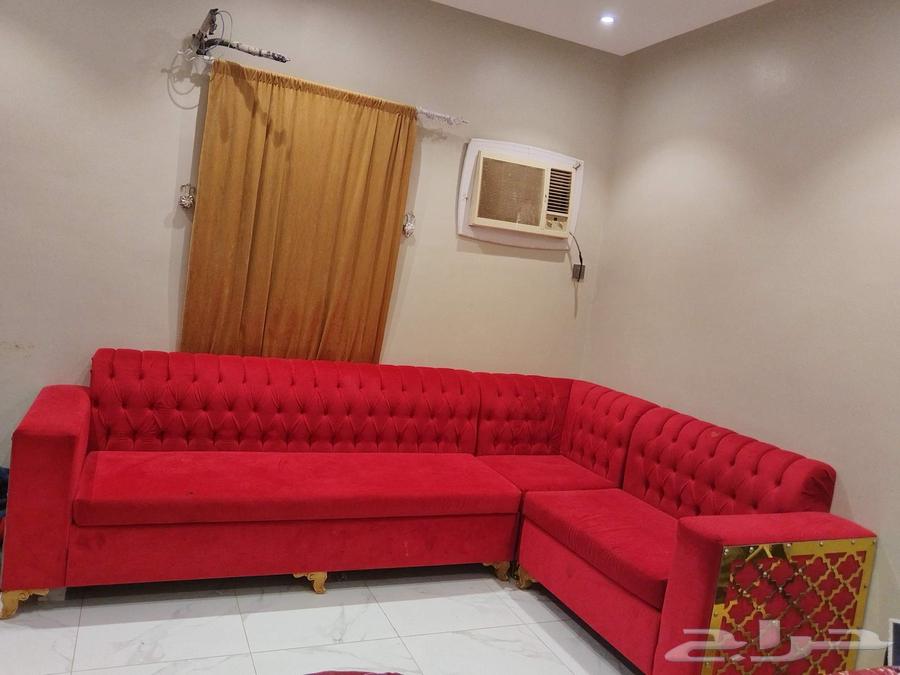 3 for 2 meter price reduction, price 600 riyals, stand 12064504379262210111