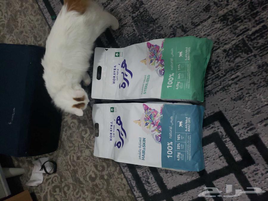 اكل قطط بسعر الجملة64503857449859111