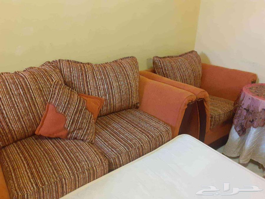 11 نفر مجلس صاله للبيع ب200 ريال64504310491267110