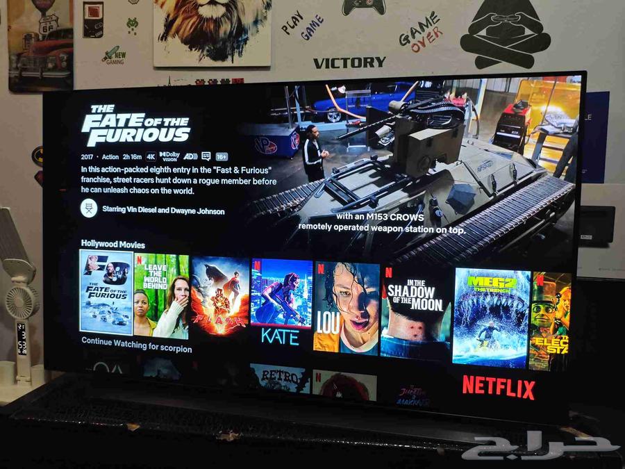 LG OLED Screen64504763774083111