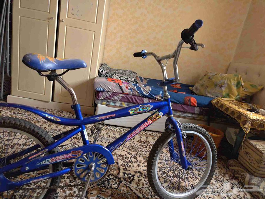 دراجه كوبرا فريستايل الاصليه مقاس 2064505738396802111