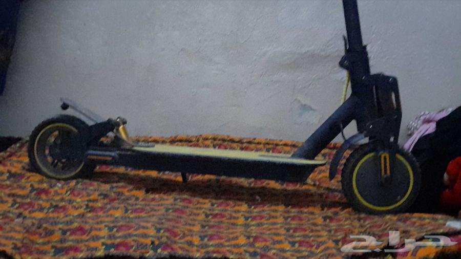 سكوتر وقوف للبيع64510549409923111
