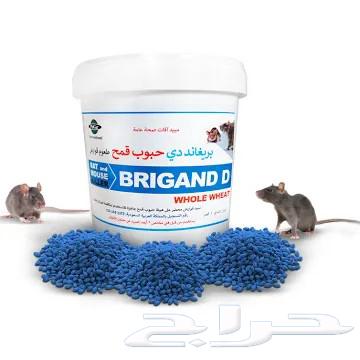 مبيد القوارض الفيران والجرذان64504749933699110