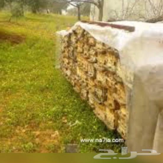 New production of sidr and talh honey with reasonable prices64508635555458111