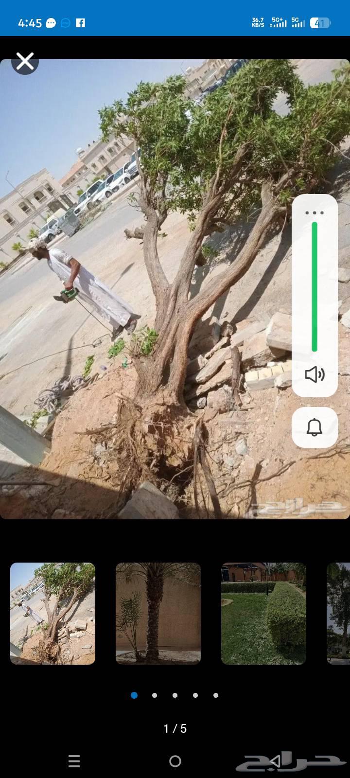 اعمال اليومية قص شجرة أعمال أي شغل جده64412009089410111