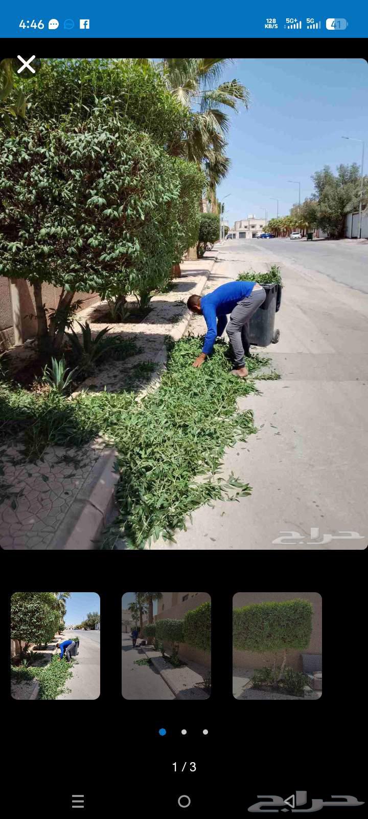 اعمال اليومية قص شجرة أعمال أي شغل جده64412009089410110