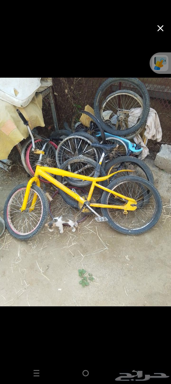دراجة هوائية Cobra مقاس 20 لون أصفر للبيع للبيع دراجة مقاس64506380329091110