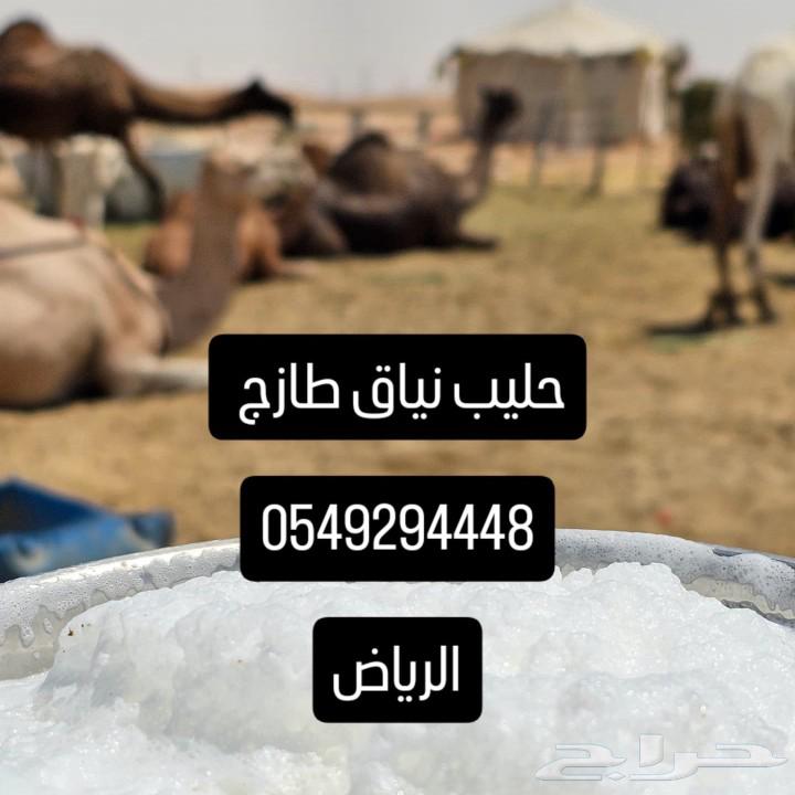 حليب خلفات بجودة عالية64509096358657110
