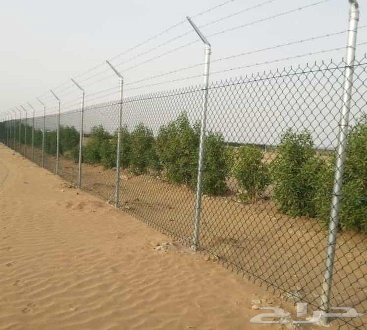 شبوك محايل عسير تركيب شبك64504269478915110