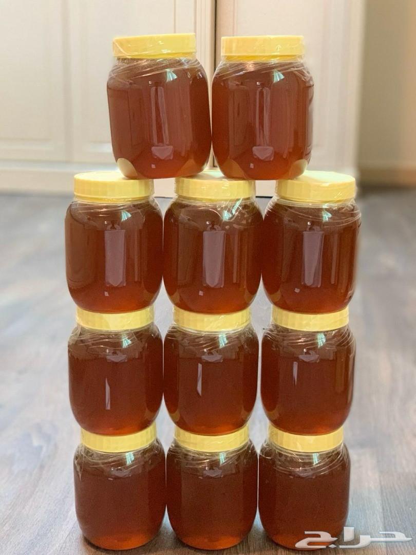 New production of sidr and talh honey with reasonable prices64508635555458110