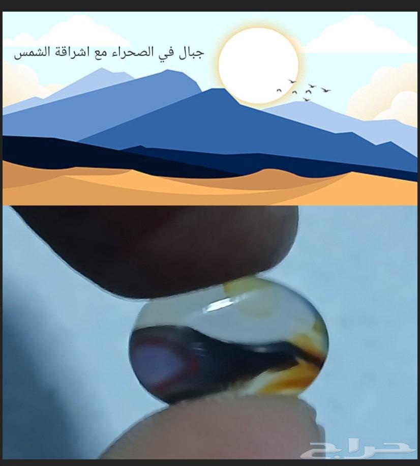 فصوص للبيع64432564441091111