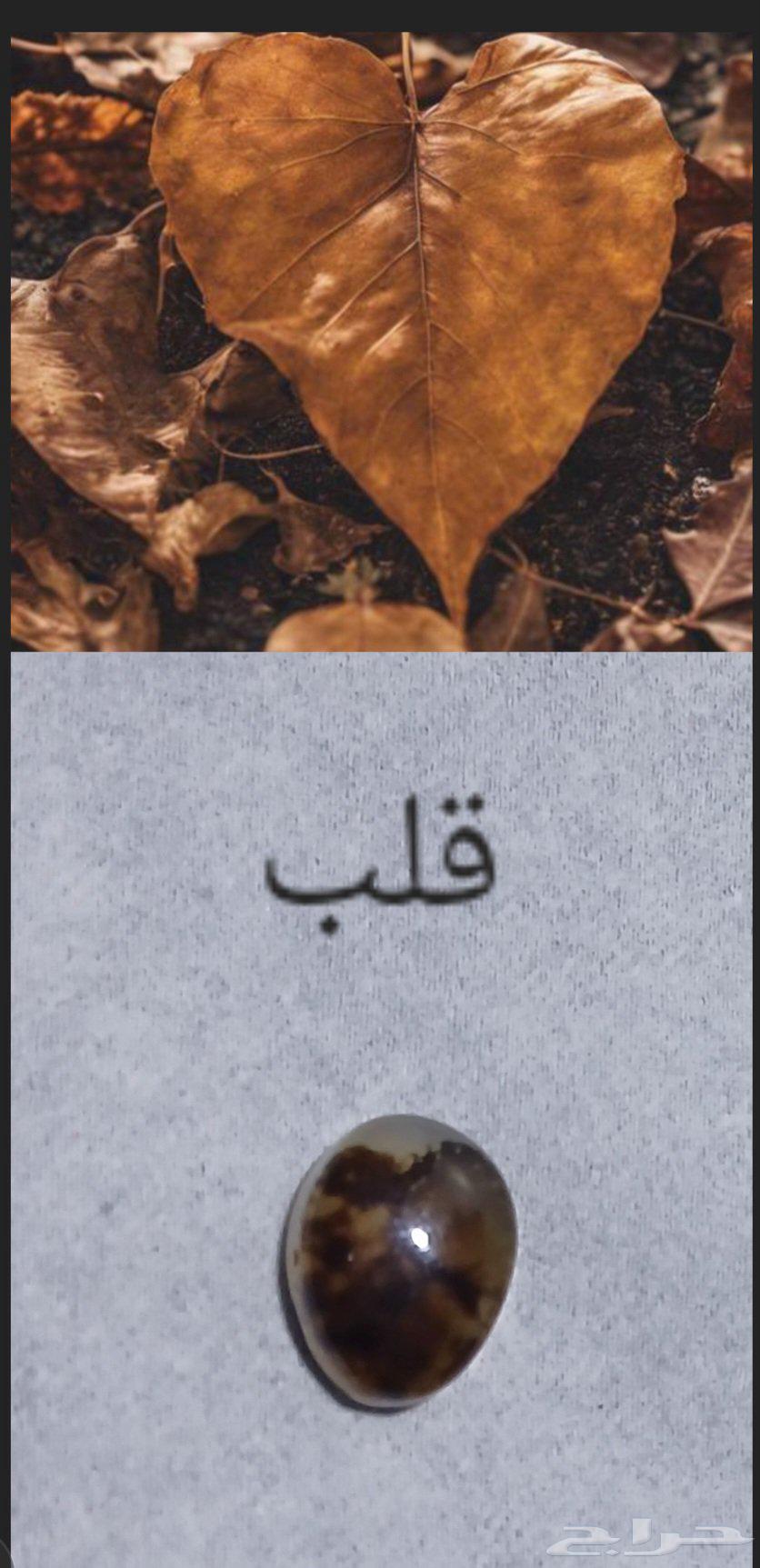 فصوص للبيع64432564441091112