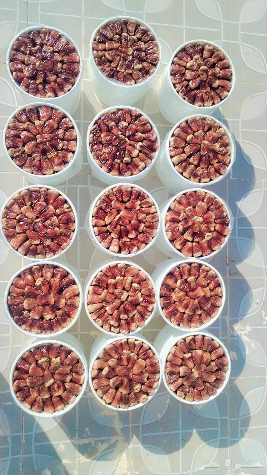 برني العيص سطول وسط 5 كيلو فاخر رقم 164504572445314110