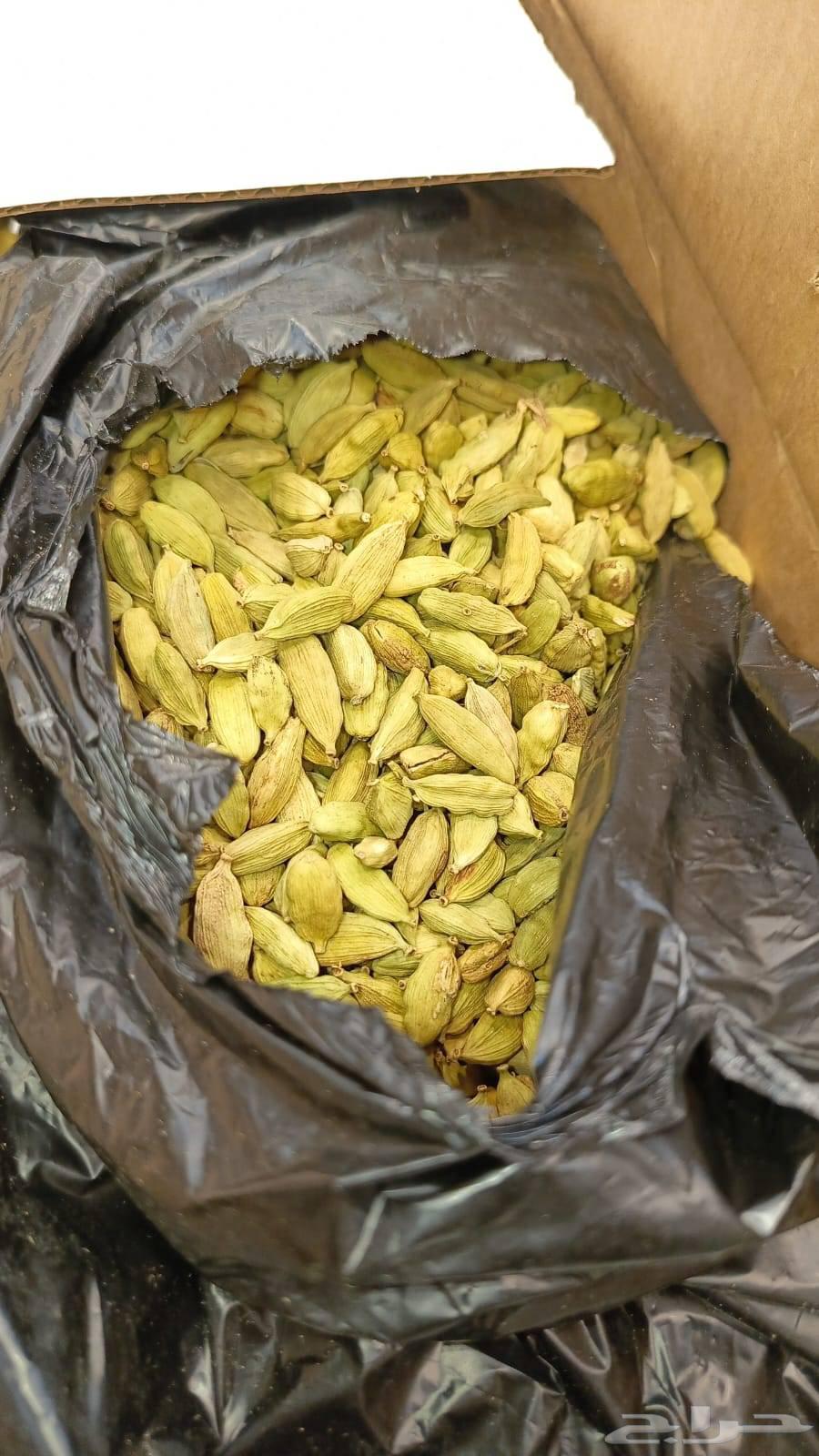 هيل أمريكي جامو 8 ملي. تاريخ جديد كارتكس الشركه المعروفه64503390674819110