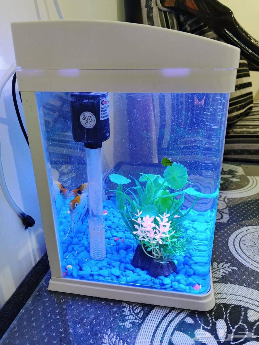 New dishwasher, never used, with warranty and used washing machine64510012803970114