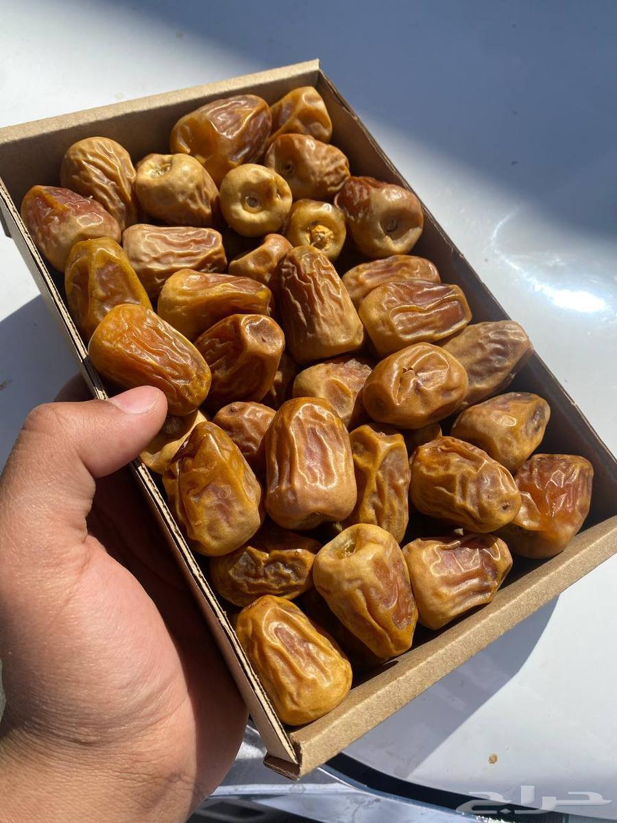 Tamr Saq'i and Sakkari64508747372675110