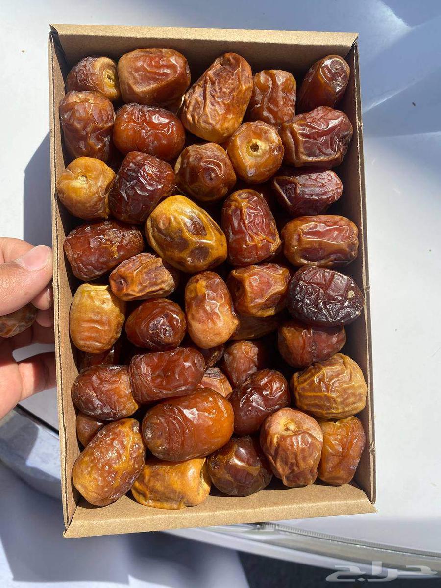 Tamr Saq'i and Sakkari64508747372675112