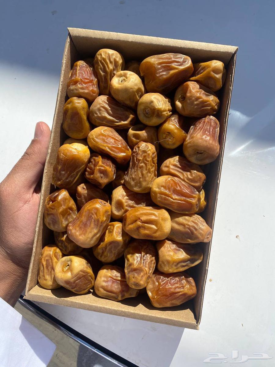 Tamr Saq'i and Sakkari64508747372675111