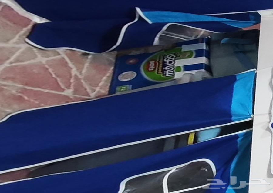 Elevated childrens bed with a ladder and slide64515542742531114